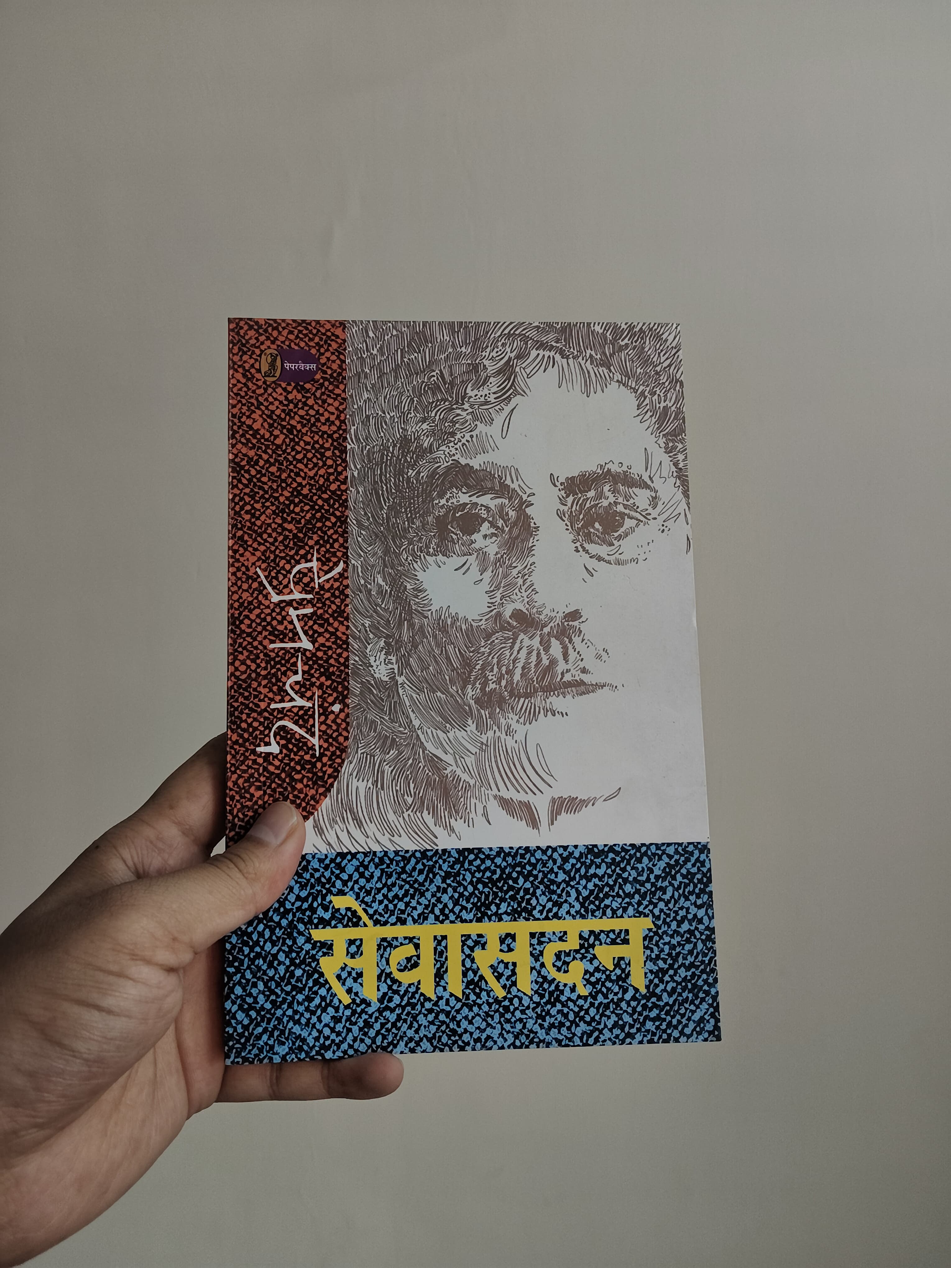 Sevashadan (सेवासदन) - book by Munshi premchand